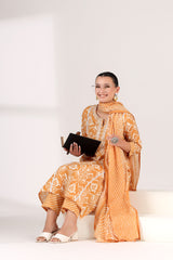 Pehli Kiran Ikat Suit Set